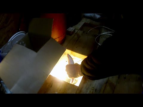 Видео: В ЭТУ НОЧЬ СИГ КЛЕВАЛ ЛУЧШЕ ЧЕМ РИПУС! ГОТОВИМ ТУШЕНОГО СИГА С КАРТОФЕЛЕМ И ЛУКОМ ПОД МАЙОНЕЗОМ!