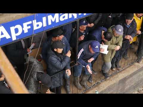 Видео: Жомартұлы Ернар ағамыздың елден бата алу кокпары 12-03-2023ж СПАТАЕВ ауылы