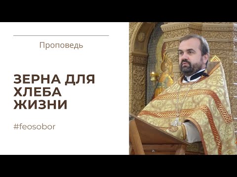 Видео: Притча о сеятеле. Проповедь протоиерея Александра Сорокина