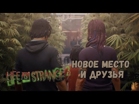 Видео: LIFE IS STRANGE 2 ►3 ЭПИЗОД ГЛУШЬ► НОВОЕ МЕСТО И ДРУЗЬЯ