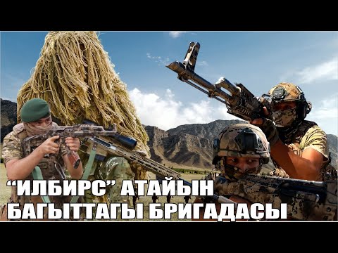 Видео: "ИЛБИРС" АТАЙЫН БАГЫТТАГЫ БРИГАДАСЫ КҮЖҮРМӨН ДАЯРДЫКТА !