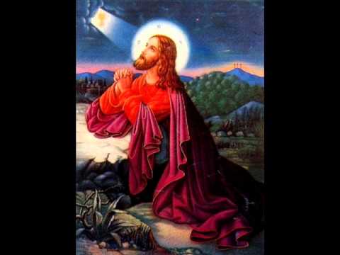 Видео: Євангелія від Матвія, 15 - 28 🕎