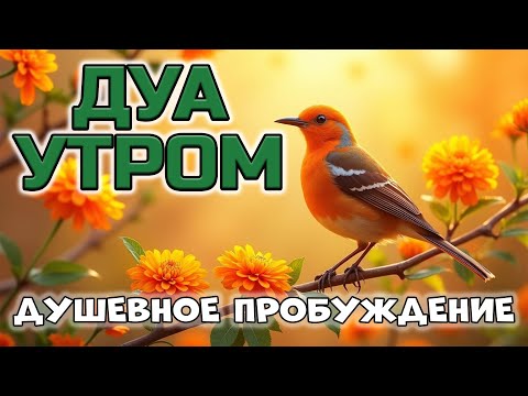 Видео: КРАСИВОЕ ДУА ДЛЯ ДУШЕВНОГО ПОДЪЕМА! 🤲☀️