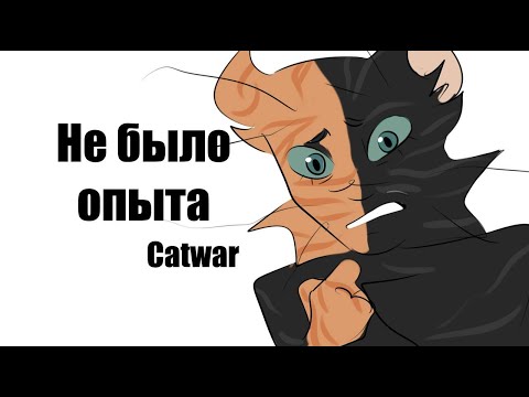 Видео: НЕ БЫЛО ОПЫТА CatWar meme animation