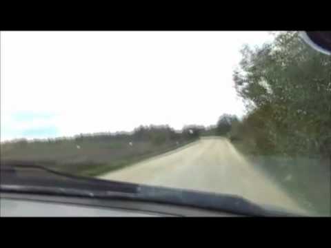 Видео: ДТП сбил лося, кабана (подборка)