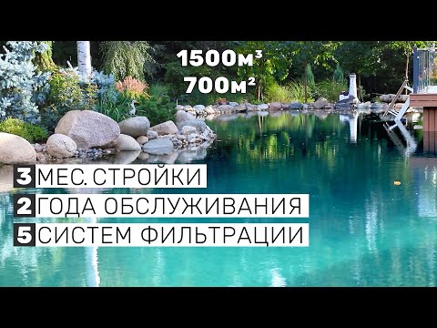 Видео: ЭТО ПРУД ЗА 40 000 000 ₽. Как построить оазис на участке? 100+ карпов Кои, идеальная вода