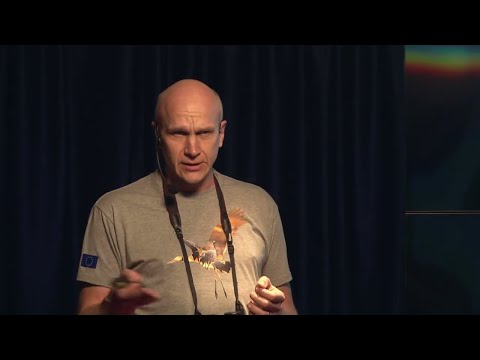 Видео: Орнитология никогда не будет прежней | Александр Винчевский | TEDxNiamiha