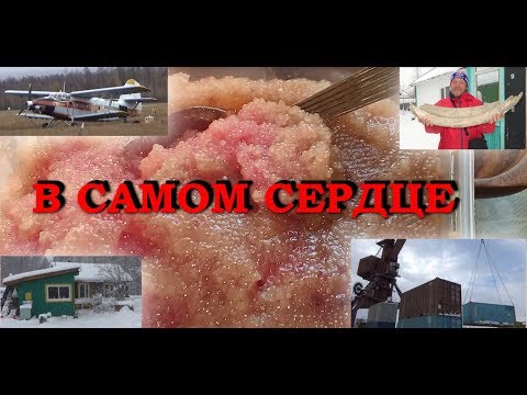 Видео: Сеймчан - сердце Колымы