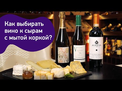 Видео: Сыры с мытой коркой. Эпуасс, лангр, мюнстер. Сыр к шампанскому