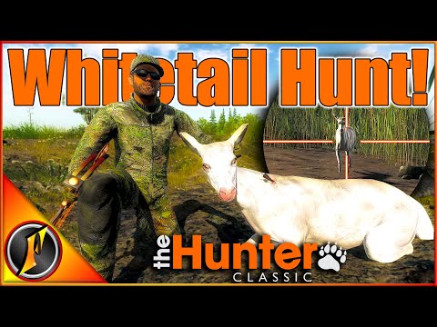 Видео: Ноябрьская охота с луком привела к альбиносу! | Классический игровой процесс theHunter