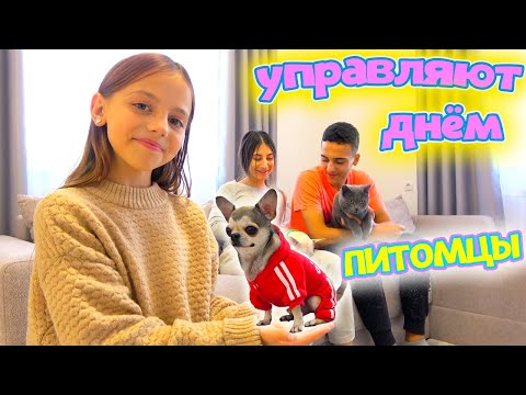 Видео: 24 часа ПИТОМЦЫ управляют нашим ДНЁМ My little Nastya