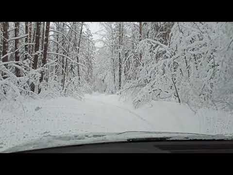Видео: Skoda Kodiaq Active. Минусы переднего привода зимой.