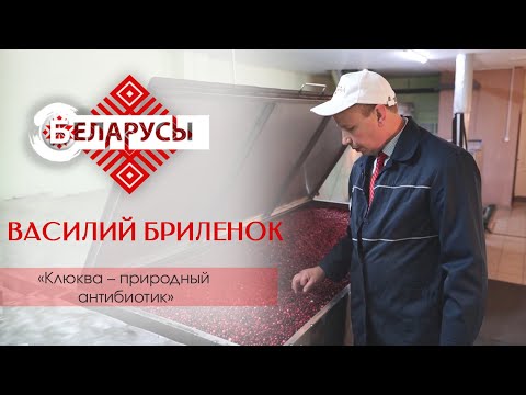 Видео: Основатель знаменитого бренда о секретах производства клюквы в сахаре