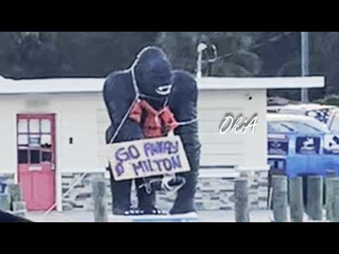 Видео: #15 Ураган пришел в наш город.