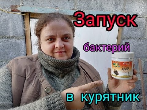 Видео: Запуск бактерий в курятник#бактерии#скотныйдвор#теплаяподстилка#тепловкурятнике#бактериидляптиц