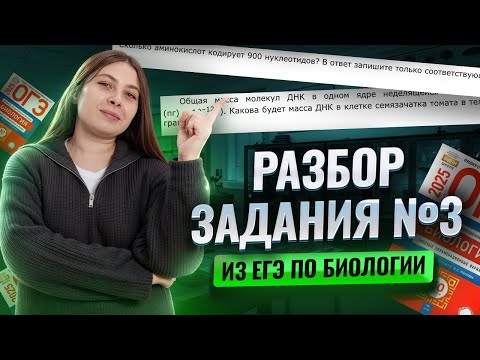 Видео: Полный разбор заданий 3 биология ЕГЭ из сборника Рохлова I Умскул