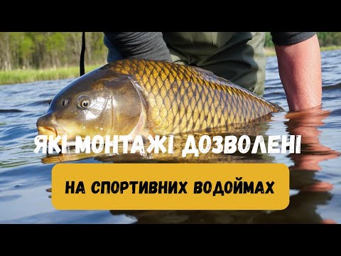 Видео: Які монтажі дозволені на спортивних та платних водоймах? Повний гайд для карпятників
