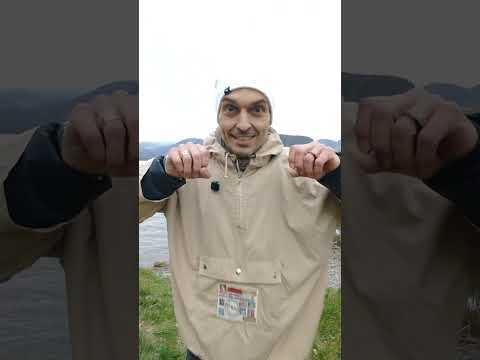 Видео: ПроЗдоровье в прямом эфире!