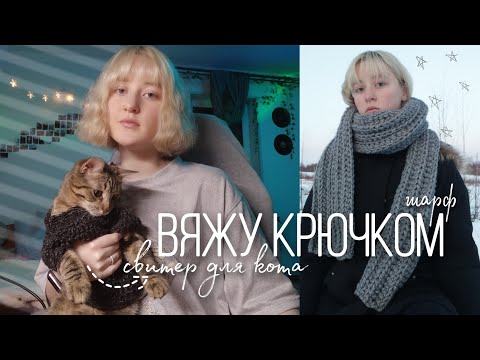 Видео: вяжу шарф и свитер для кота за одну ночь