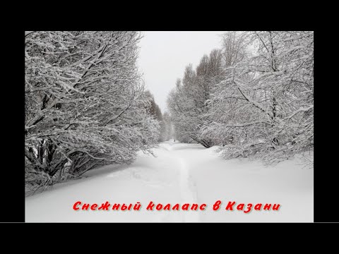 Видео: Снежный коллапс в Казани