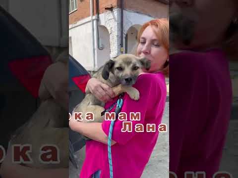 Видео: Привет  из дома🙏❤️ #Симка