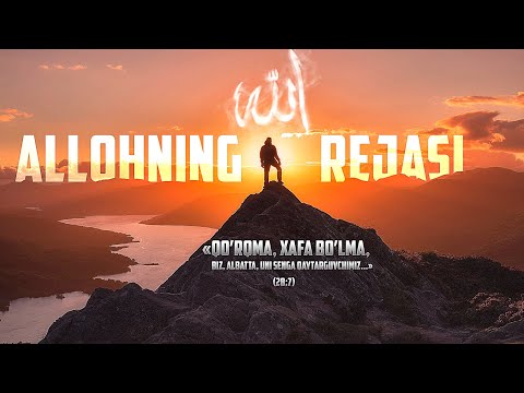 Видео: Аллоҳнинг сиз учун гўзал режаси бор! | Муфтий Менк