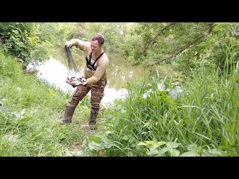 Видео: РЫБНОЕ ЭЛЬДОРАДО НА РЕКЕ НА УДОЧКУ. Эта рыба сошла с ума. Рыбалка на поплавок.