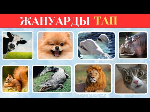 Видео: ЖАНУАРЛАРДЫ 3 СЕКУНДТА ТАБА АЛАСЫҢ БА?🦁🐼🐱. ОҢАЙ, ОРТАША, ҚИЫН, ӨТЕ ҚИЫН