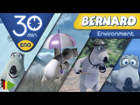 Видео: БЕРНАРД: Окружающая среда | 30 минут