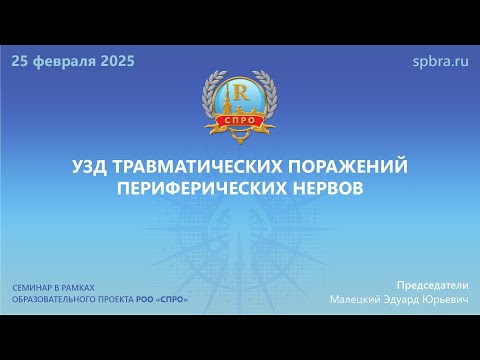 Видео: Вебинар "УЗД травматических поражений периферических нервов"