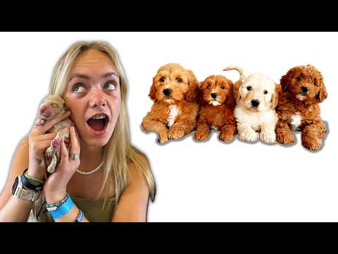 Видео: Наша собака ПРОПАЛА И БЕРЕМЕННА! 7 щенков!