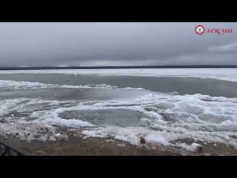 Видео: Обстановка на реке Лена в Олекминске на 13.05.24