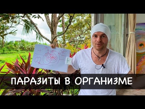 Видео: "ПАРАЗИТЫ В ОРГАНИЗМЕ" как избавиться от паразитов навсегда? Убойное средство от паразитов