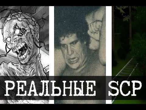 Видео: Реальные SCP - 3 (SCP-082, SCP-1176, SCP-2640)