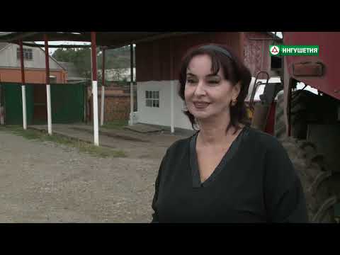 Видео: ЮРТБОАХАМ ГУП МАГАС МАЛЬСАГОВА 20092023