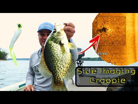 Видео: Как найти мелководного краппи с помощью бокового сканирования