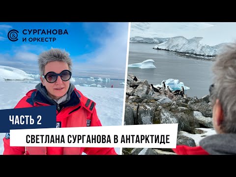 Видео: Светлана Сурганова в Антарктиде. Часть 2