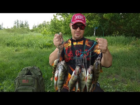 Видео: Эта Вертушка не крутит Шнур.  Жор Окуня в Июне