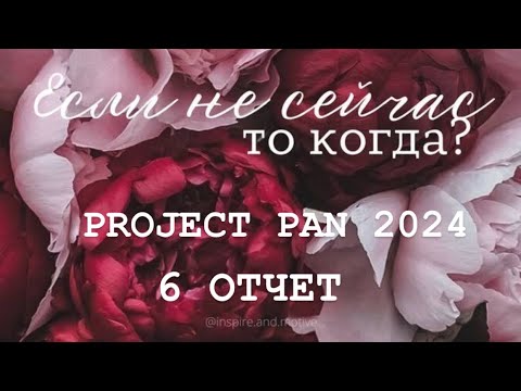 Видео: Бесконечный PROJECT PAN 2024 Отчет 6
