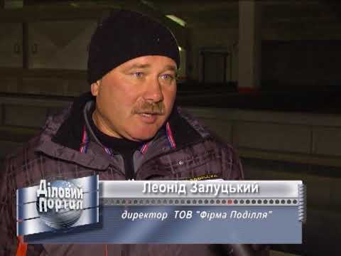 Видео: Голозирні штирійські гарбузи. Прибуткове вирощування. Стабільний експорт. Вінницька область