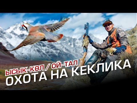 Видео: КЕКЛИККЕ АНЧЫЛЫК / ЫСЫК-КОЛ / ОЙ-ТАЛ АЙЫЛЫ