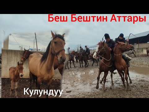 Видео: Ат БАЗАР 28.03.21 БАЗАР КОРГОН