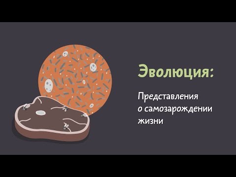 Видео: 5.5 Представления о самозарождении жизни. Естествознание - 10 - 11 класс