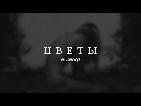 Видео: Wildways — Цветы (Lyric Video)