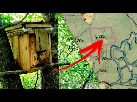 Видео: Ставь ловушки сюда!