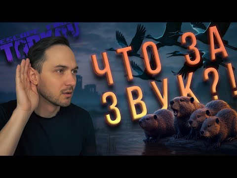 Видео: В лесу новые звуки?! | Escape from Tarkov.