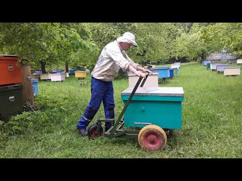 Видео: Пасечная тележка самодельная.