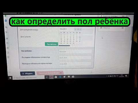 Видео: ОПРЕДЕЛИТЬ ПОЛ РЕБЁНКА на КАЛЬКУЛЯТОРЕ.