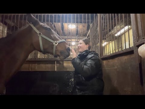 Видео: Я съездила в Мустанг🐴