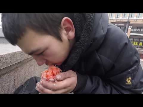 Видео: На что готов мужик ради 500 рублей   40 ЯИЦ 2 банки ИМБИРЯ